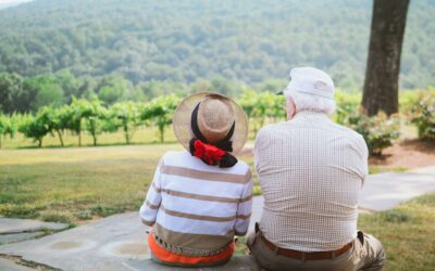 Maintien à domicile des seniors : le prêt viager hypothécaire, une alternative aux aides publiques ?